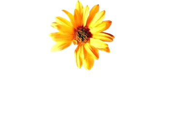 Hope Springs streaming Hope Springs