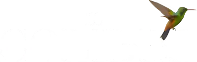 Il colibrì streaming Il colibrì