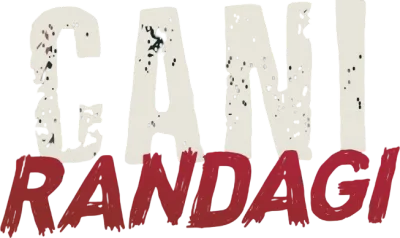 Cani randagi streaming Cani randagi