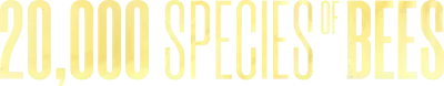 20.000 specie di api streaming 20.000 specie di api