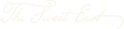 The Sweet East streaming The Sweet East
