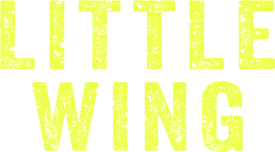 Little Wing - Il senso di casa streaming Little Wing - Il senso di casa