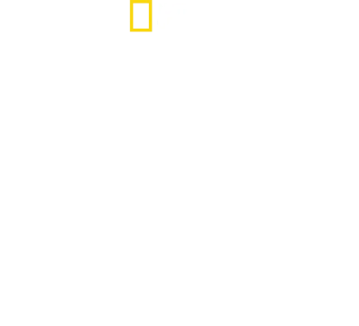 The Story of God with Morgan Freeman streaming The Story of God with Morgan Freeman