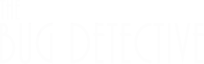 L'ispettore Ottozampe e il mistero dei misteri streaming L'ispettore Ottozampe e il mistero dei misteri